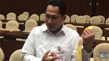 Diperintah Jokowi, Buwas Siap Serap Jagung Petani Rp 3.150/kg