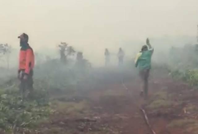 Sepekan, 66 Hektare Hutan dan Lahan di Riau Hangus Terbakar