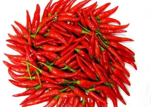 Apakah Menelan Biji Cabai Bisa Jadi Penyebab Munculnya Usus Buntu?
