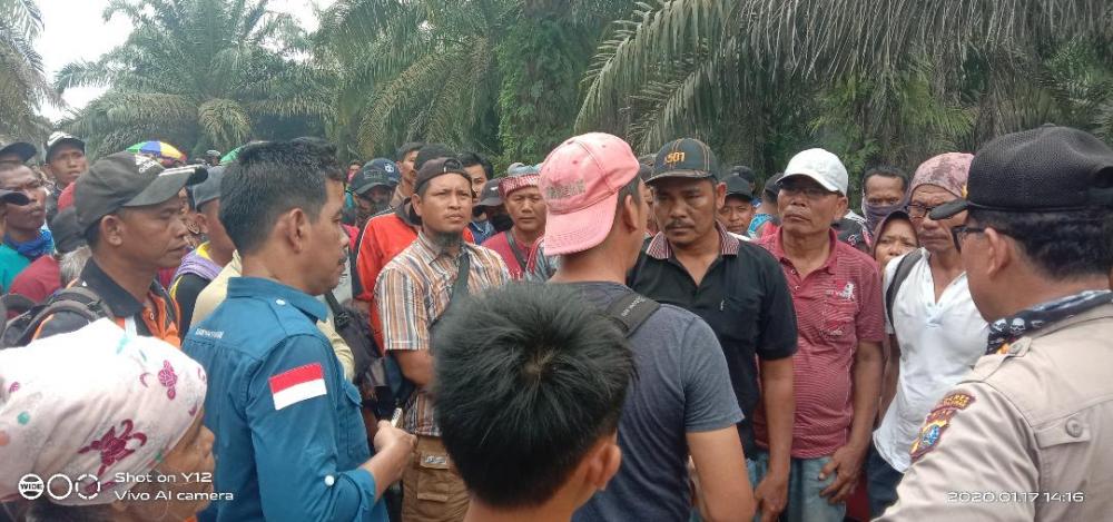 Meski sempat di tunda,dinas LHK Provinsi Riau laksanakan penertiban dan pemulihan lahan seluas 3.323 Ha