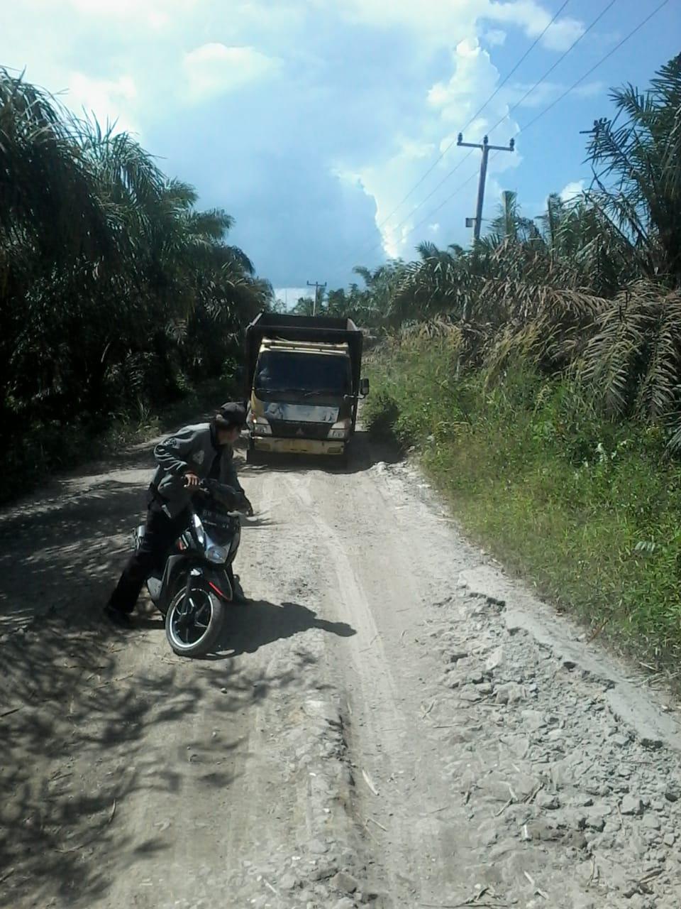 Jalan Umum Desa Tolam butuh perhatian khusus dari pemkab pelalawan