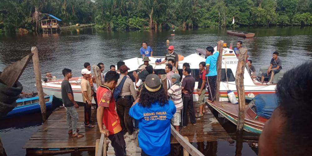 Hama Kumbang Tanduk Serang Kebun Kelapa Masyarakat di Inhil