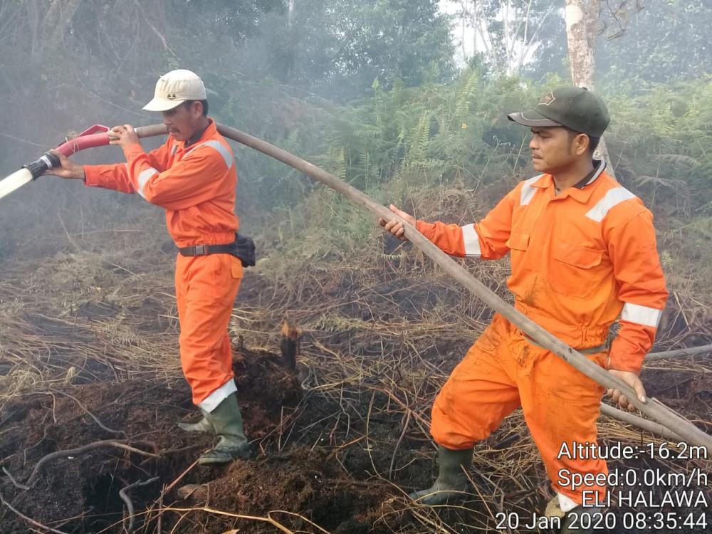 PT Adei Plantation & Industri bantu lakukan pemadaman kebakaran lahan masyarkat desa tolam
