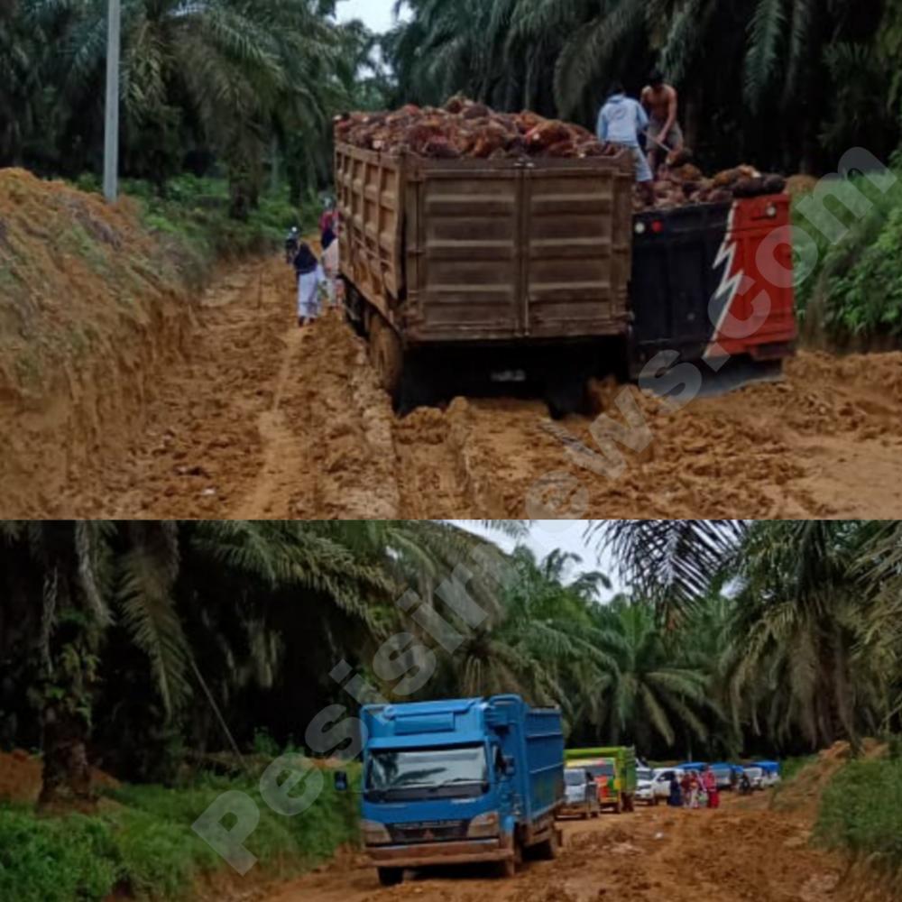 Jalan Lintas di Kecamatan Basira Rusak Berat, Perekonomian Masyarakat Terancam !