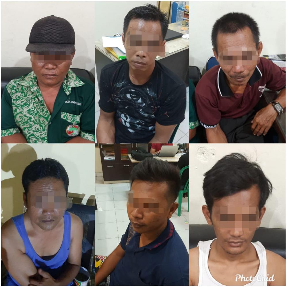 6 Pelaku Judi Gelper Ikan-ikan di Wilayah Tapung Hilir Di Ciduk Polres Kampar