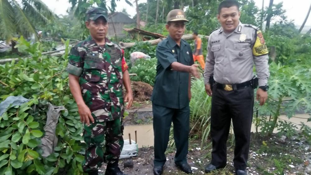 Bahu Membahu Tim Gabungan Tangani Kejadian Pohon Tumbang