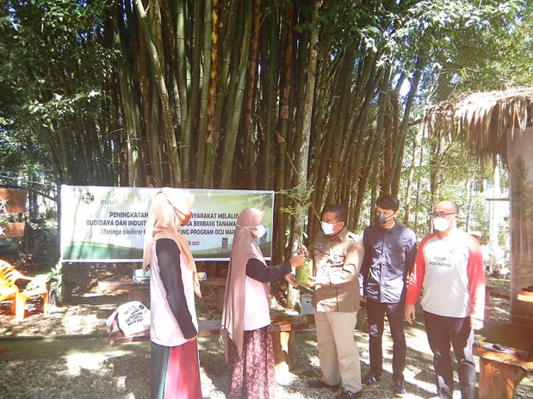 Kementerian BUMN Apresiasi Keberhasilan PLN Bina UMKM Mitra di Kampar Tembus Pasar Internasional