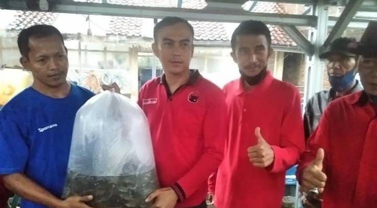 DPC  PDIP Kota Banjar Bagikan Sekitar 2.000 Bibit Ikan Nila kepada Dua Pokdakan 