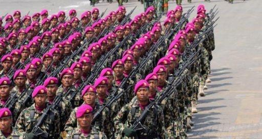 Pasukan Khusus TNI AL Dikirim Ke Pakistan, Ada Apa? 