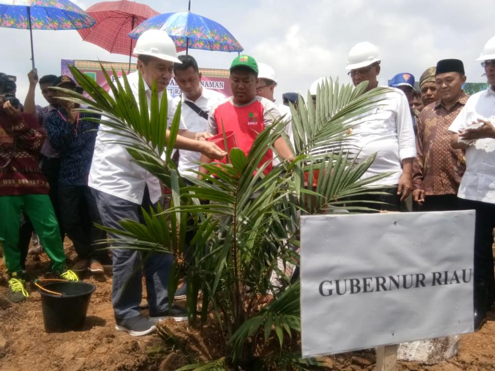 Kedatangan KSP di Rokan Hilir, Gubernur Riau : Seluas 138.658 Hektare Sawit di Riau Perlu Diremajakan