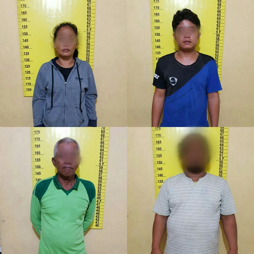 Seorang Wanita dan 3 Pria Diciduk Opsnal Polsek Bagan Sinembah Setelah Berbuat ini...