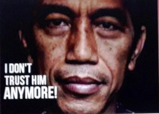 Pengamat:Jokowi Akhirnya Blunder Soal Propaganda Rusia "Banjir Kritikan"