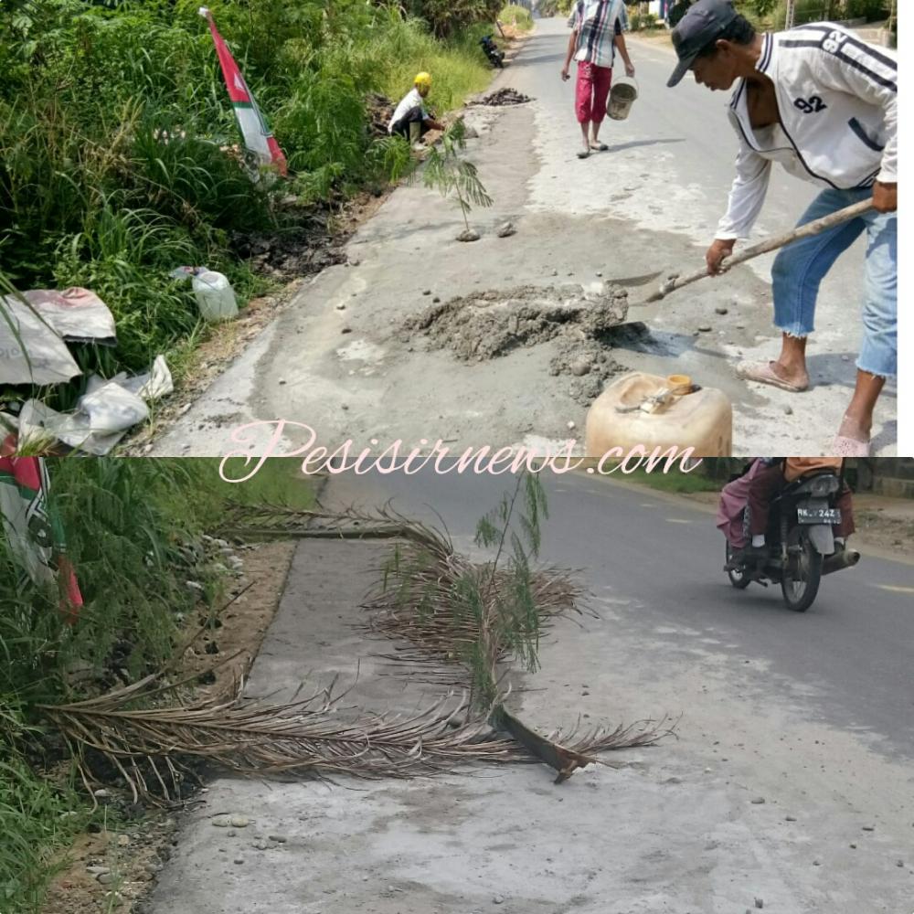 Aneh! Jalan belum lama selesai dihotmix di Bagan Batu ini yang pecah ditambal menggunakan semen