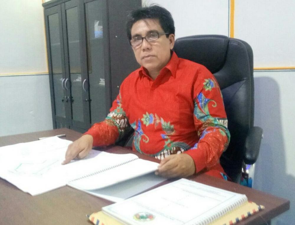 PT Diamont Raya Timber Melakukan Pelanggaran, Ini Kata APINKARI Riau..