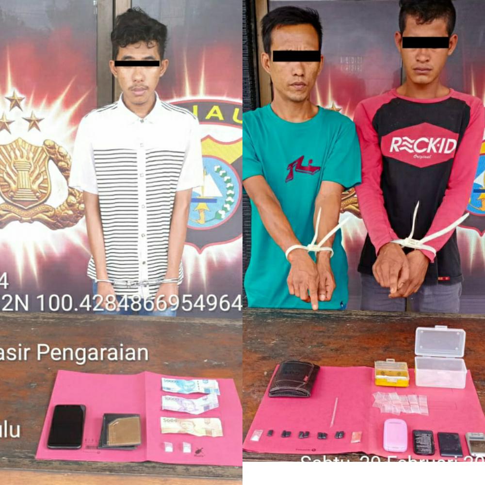 Wah ,Polsek Rambah Samo Sikat 3 orang Pelaku Penyalahgunaan Narkotika