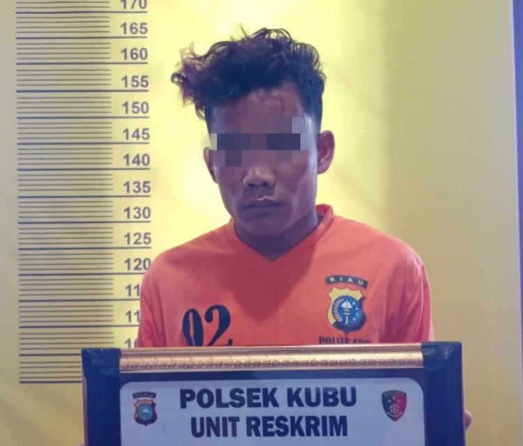 Larikan dan Setubuhi Anak di Bawah Umur, Warga Torgamba ini Diringkus Polisi