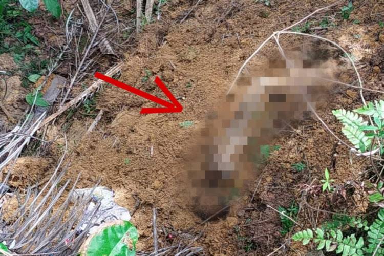 Mayat di Bekoan, Diduga CS RS Ibunda yang Hilang