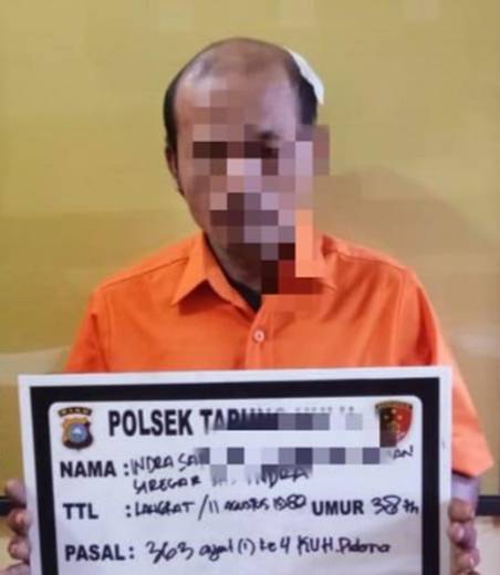 Polsek Tapung Hulu Tangkap Pelaku Pencurian Buah Sawit Milik PT. BSP di Desa Danau Lancang