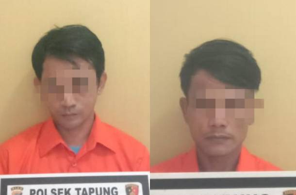 Polsek Tapung Tangkap 2 Pelaku Narkoba dengan BB 16 Paket Sabu Siap Edar