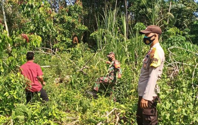 Peduli Karhutla, Koramil Babinsa 05 / Rupat Gelar Patroli Lahan Rawan Kebakaran