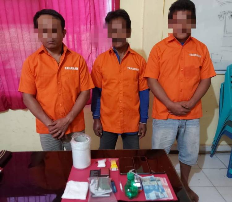 Polsek Tapung Hulu Tangkap 3 Pelaku Narkoba Di Kebun Sawit 