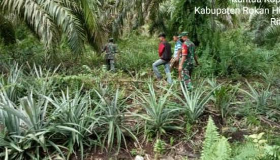 Pantau Karlahut, Babinsa Koramil 02/TP Kembali Patroli dan Sosialisasi 
