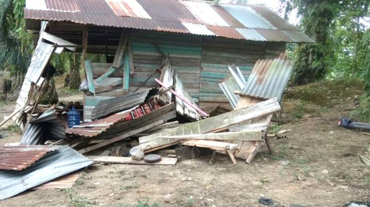Tiga Pondok Warga di Kebun Desa Kota Garo Rusak Diremuk Gajah Liar