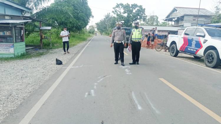 Kakak Beradik Meregang Nyawa di Rohil Usai Ditabrak Navara