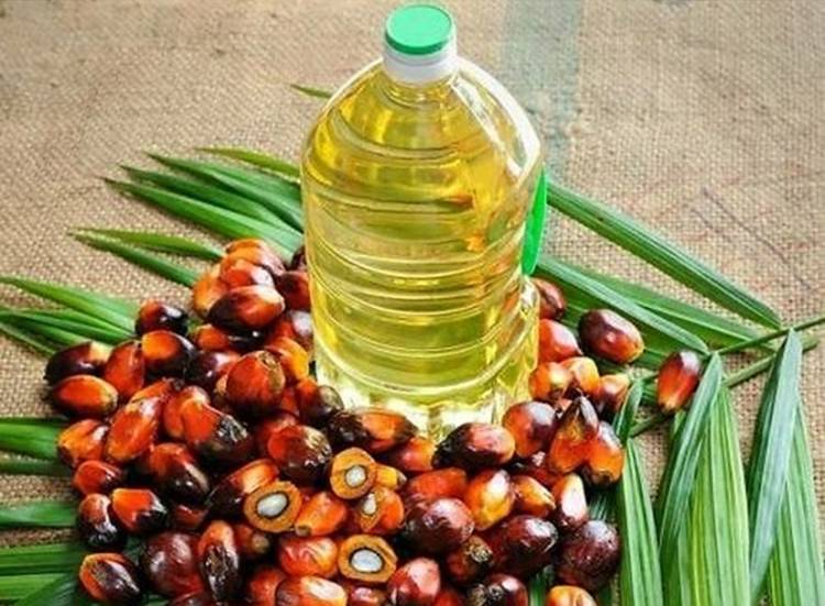 Pemerintah Upayakan Secara Holistik Persoalan Kelangkaan Minyak Goreng