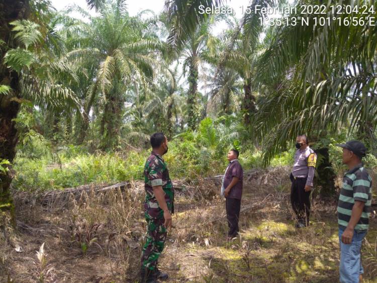 Danposramil 02/TP Kembali Lakukan Patroli Karlahut di Perbatasan