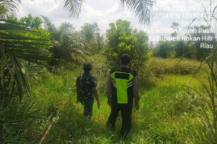 Pantau Titik Api,  Babinsa Koramil 02/TP Kembali Lakukan Patroli