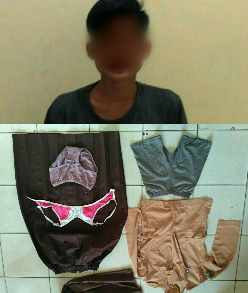 Kuat Diduga Cabuli Anak Di Bawah Umur, Seorang Pelajar Asal Sumut Diamankan Opsnal Polsek Bagan Sinembah 