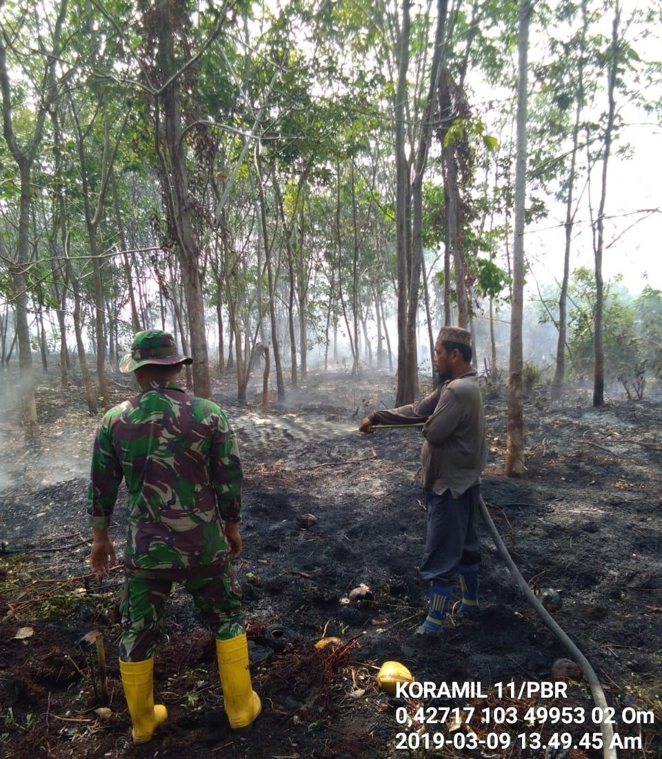 Karhutla di Pulau Burung, Petugas dan Masyarakat Keterbatasan Air dan Alat Pemadam Kebakaran