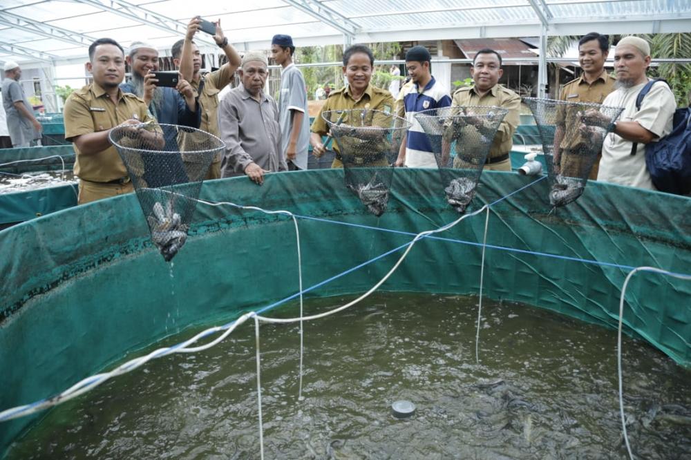 Panen Raya Ikan Lele Sistem Bioflok di Kecamatan Rambah