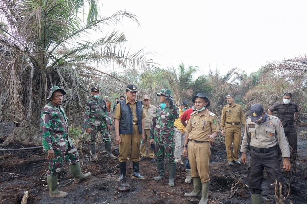 Bupati HM.Wardan bersama Dandim 0314/Inhil dan Wakapolres terjun lansung Padamkan Api di Tempuling. 