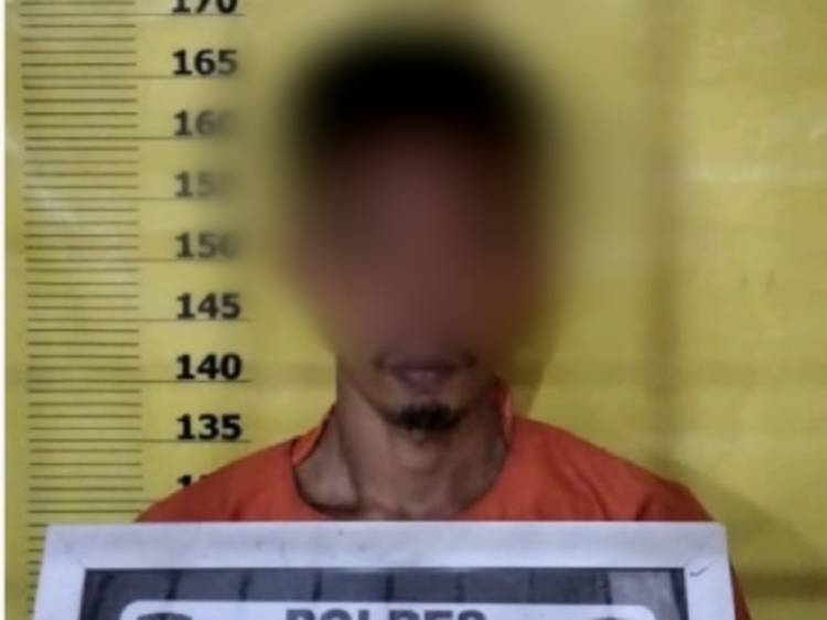 Diduga Aniaya dan Perkosa Istri Orang, Pria di Rohil ini Diringkus Polisi