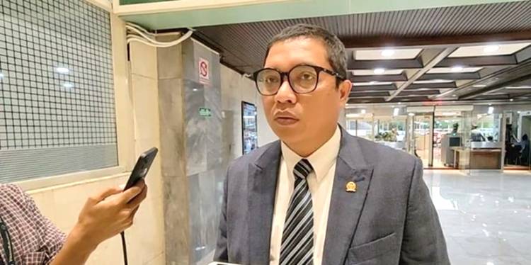 PPP Akui Kedekatan dengan PDIP dan PDIP Ungkap  Akar Sejarah yang Panjang Bersama PPP