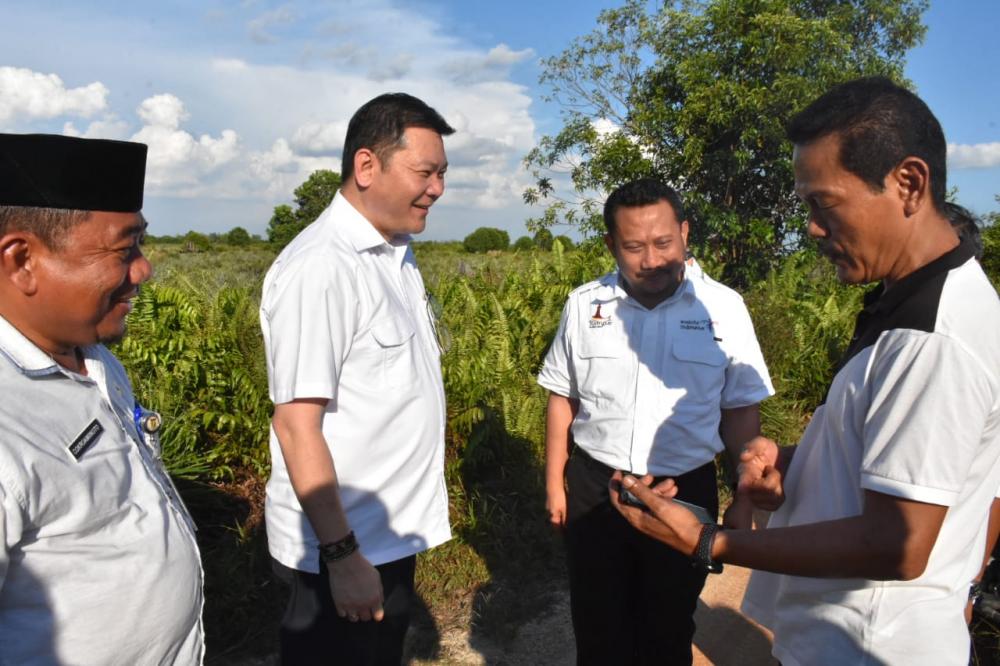 Bupati Kampar Bersama Badan Restorasi Gambut RI Tinjau Kebun Nenas Di Lahan Gambut