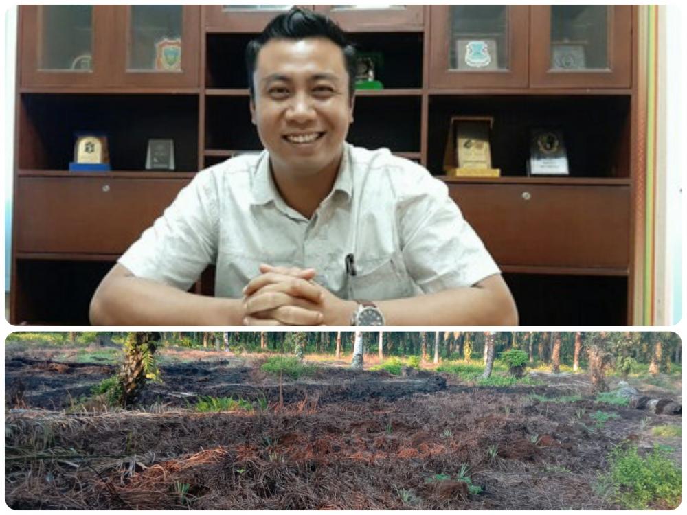 Diduga  Sengaja di Bakar dan di Tanami Nenas, Ketua Komisi II,  Abdul Nasib SE, akan Tinjau Kebenarannya.