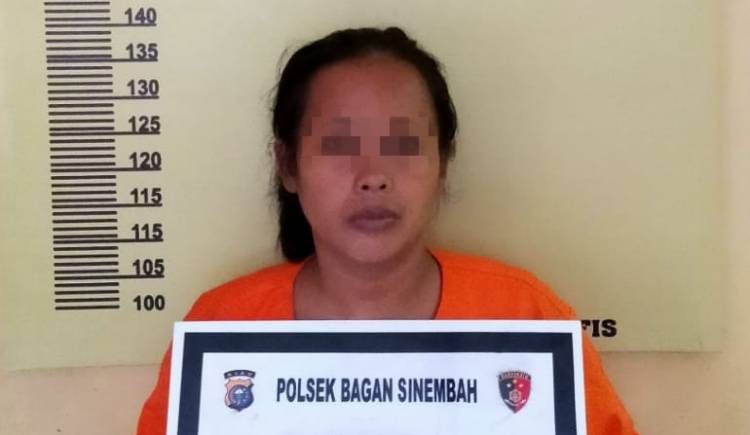 Ibu Tiri Penganiaya Anak Umur 25 Bulan Diringkus Polisi, Begini Kronologisnya