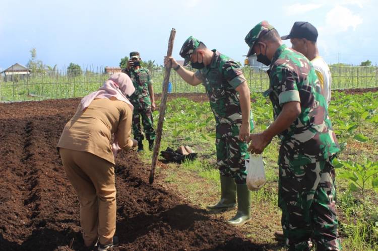 Dandim Palangka Raya: Program Unggulan Kodim Guna Mendukung Hasil Panen yang Melimpah 