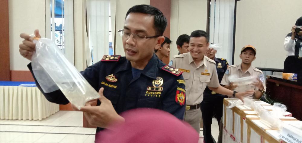 Pengiriman Baby Lobster Ilegal Bernilai Rp 15 Miliar ke Luar Negeri, Digagalkan Bea Cukai Tembilahan 