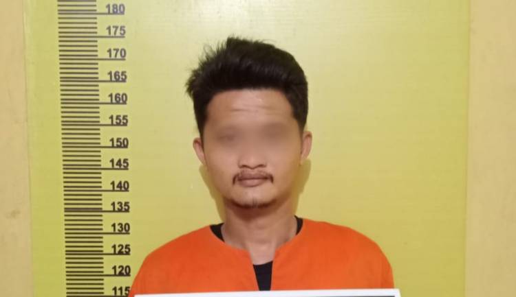Nekat Gelapkan 1 Unit Truk dan Suratnya, Pria ini Diringkus Polisi