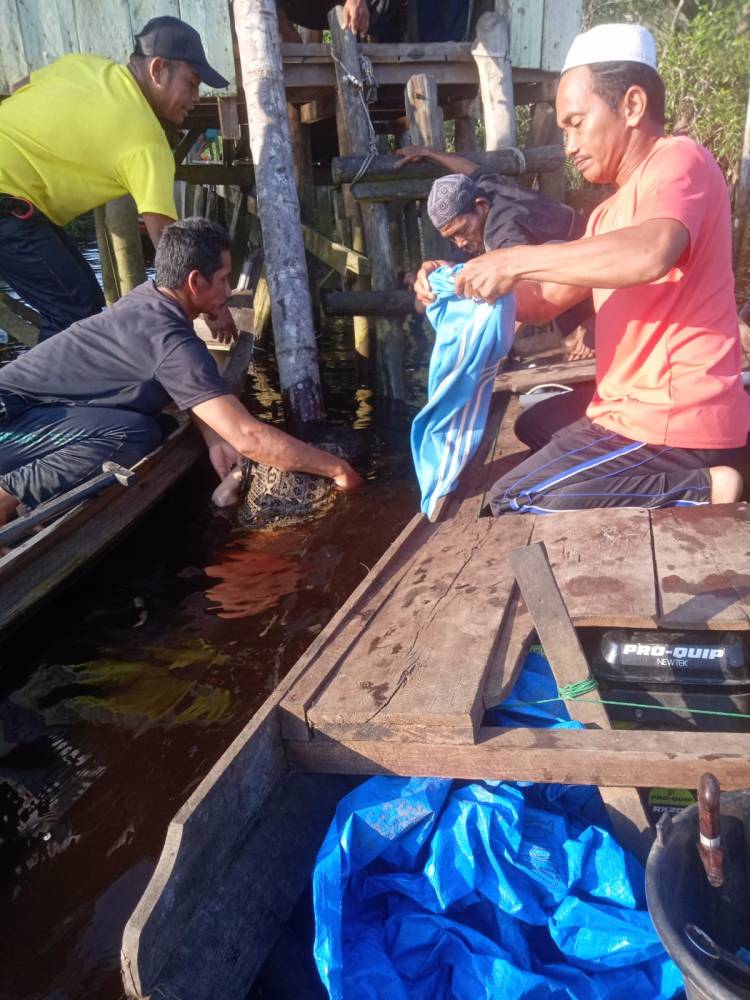 Jatuh ke Sungai Warga di Pelangiran Ditemukan Meninggal Dunia