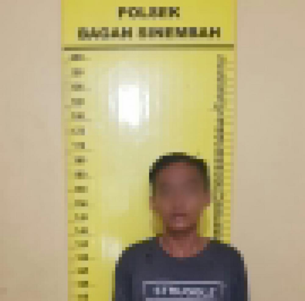 Pelaku Percobaan Cabul Tunjukkan Anunya ke Korban, Kemudian ini yang Terjadi..