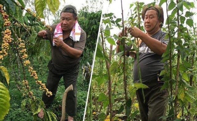 Kisah Susno Duadji, Mantan Kabareskrim Polri yang Kini Pilih Tinggal di Desa dan Jadi Petani