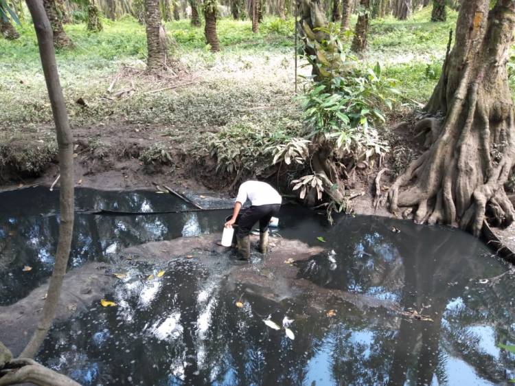 DLH Tunggu hasil Lab,terkait dugaan pencemaran PKS PTPN V Sei Tapung