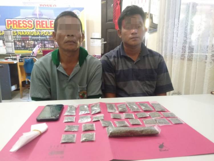 Resnarkoba Polres Kampar Tangkap 3 Pengedar Narkotika Daun Ganja Kering di 3 Lokasi