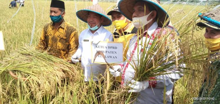 Bupati Pelalawan Lakukan Kunker Ke Kecamatan Teluk Meranti Dalam Acara Syukuran Panen Kelompok Tani Lintas Bono Serta Penandatanganan  MOU Perawatan Jalan Lintas Bono 