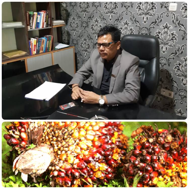 Praktisi Hukum Apul Sihombing, SH. MH berikan Apresiasi Khusus kepada Kapolda Riau dalam Penanganan Perkara Pencurian Tiga Tandan Sawit